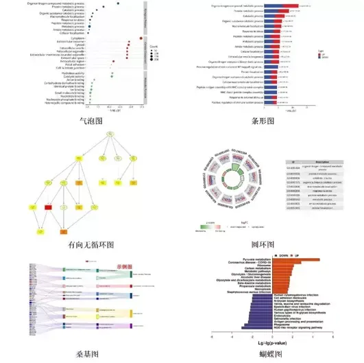 蛋白组学分析